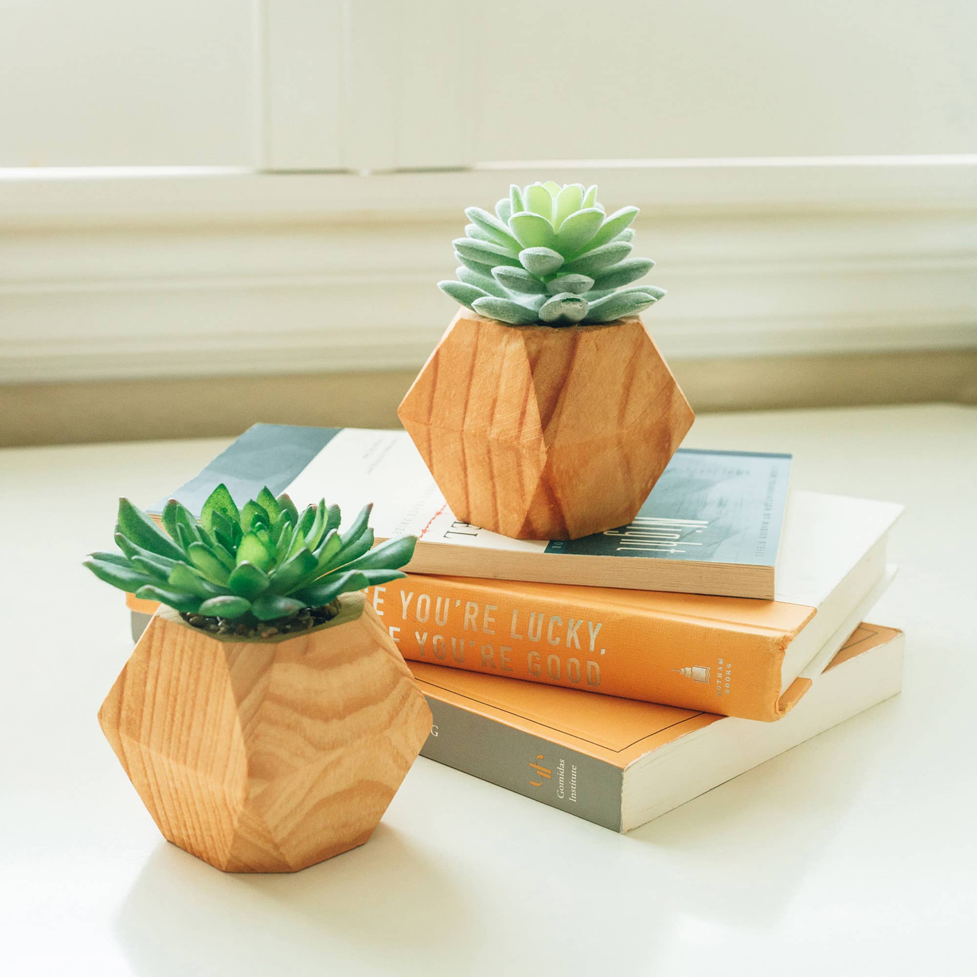 Artificial Succulent in wood Cube
