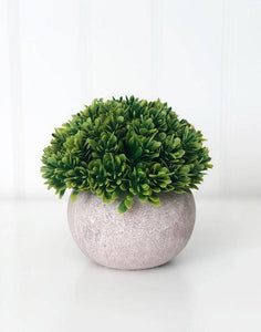 Stone Potted Plant