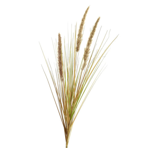 38.5” Fountain Grass Foxtail Spray - Brown/Green